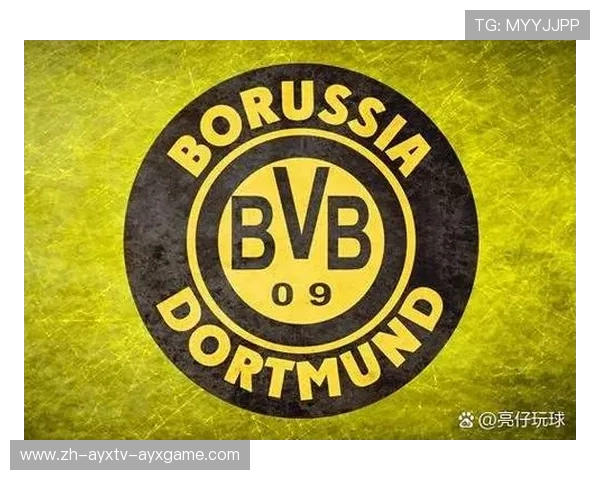 德甲历史上使用过的足球球队及其发展轨迹